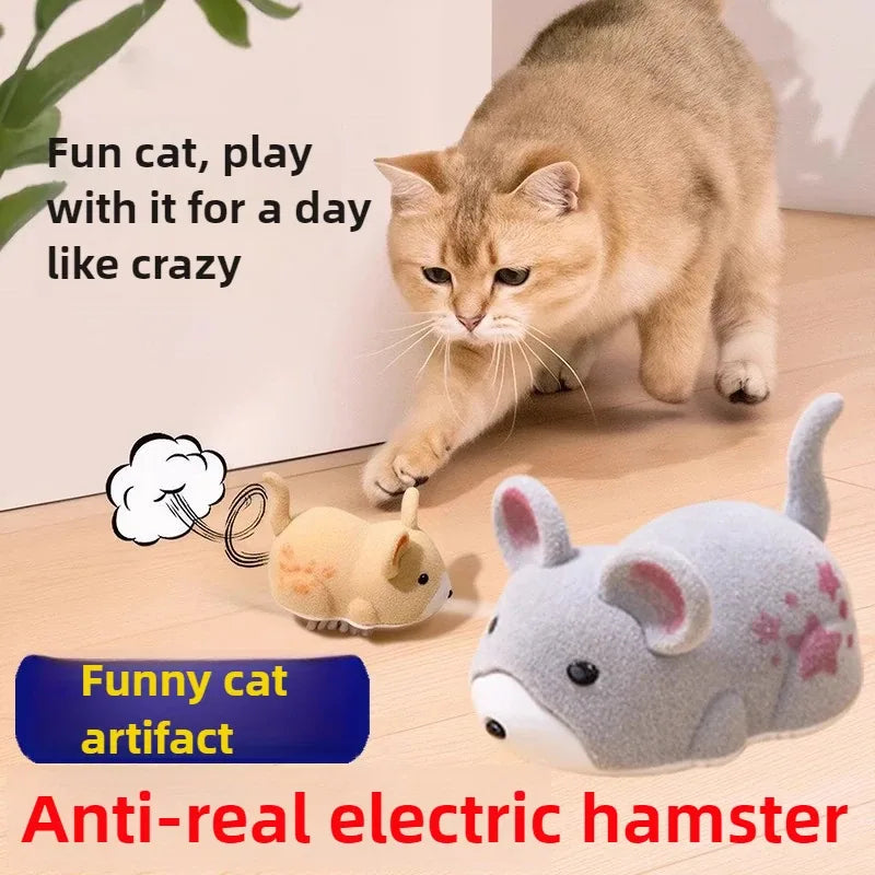 https://cdn.dropmagic.ai/medias/2340fbe9-2b4b-4efb-b093-1b680957887e.webp