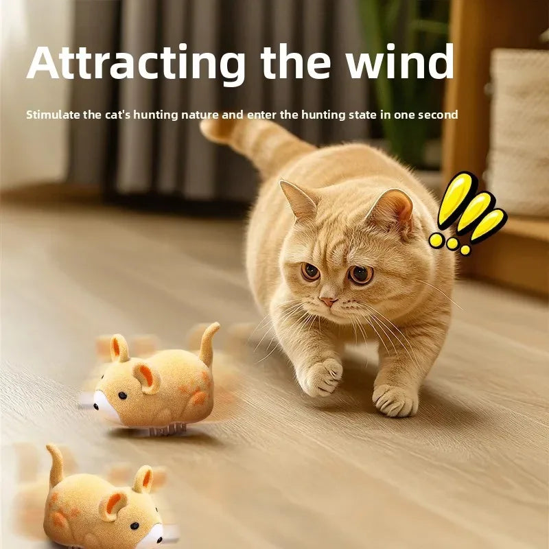 https://cdn.dropmagic.ai/medias/51be1424-f03b-40f1-a2a6-28326f927514.webp