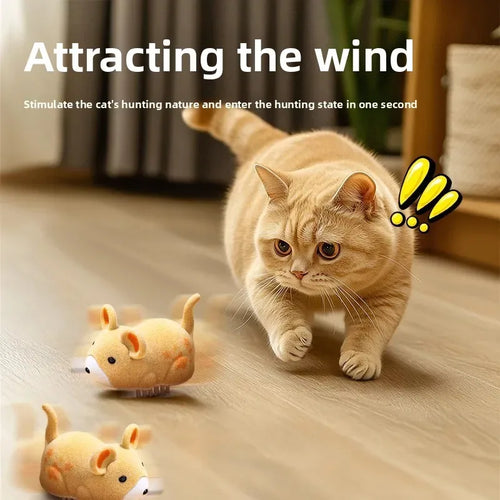 https://cdn.dropmagic.ai/medias/51be1424-f03b-40f1-a2a6-28326f927514.webp