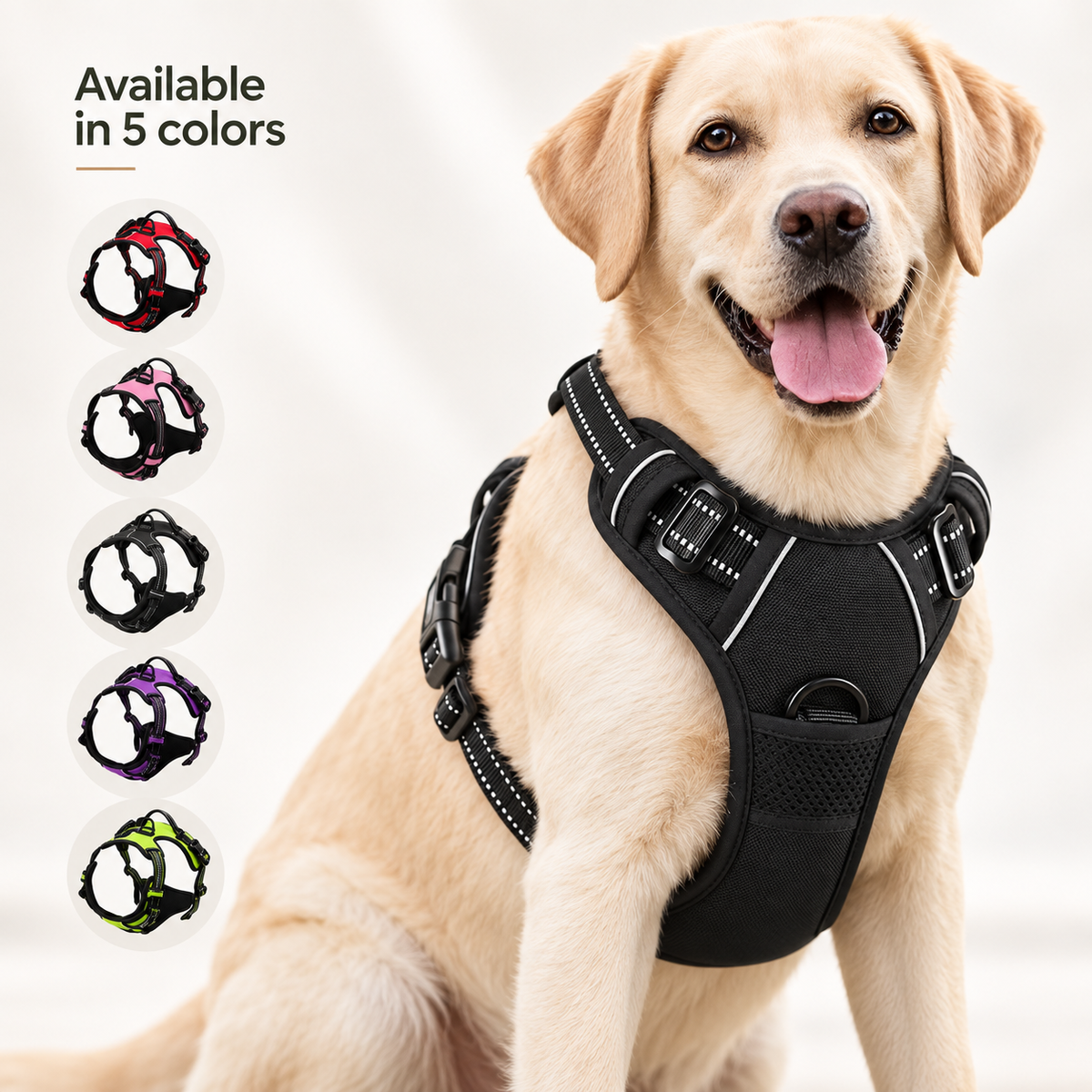 Atlas No-Pull Harness Set